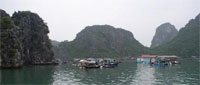 Halong Vietnam, Mosaique tour